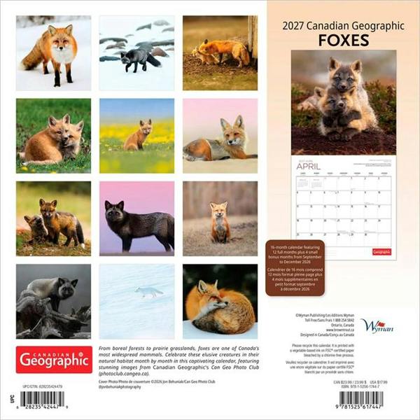 Foxes Calendar 2027, Wall Calendars, Month To View, Animals, Gift