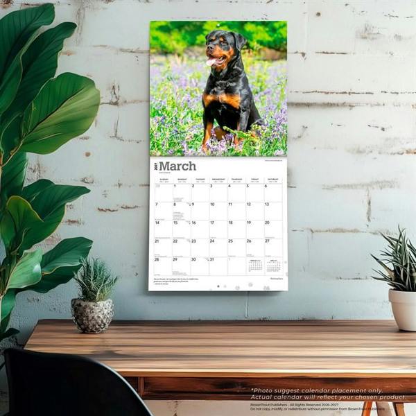 Rottweilers Calendar 2027, Wall Calendars, Month To View, Dogs, Gift