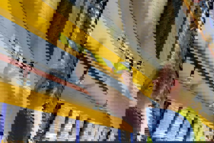 Durable DURALINE Removable PVC Hazard Warning Floor Marking Tape | 50mm x 33m