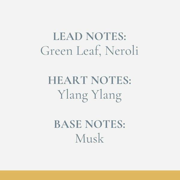 Fosse Living Neroli & Ylang Ylang Reed Diffuser Refill 200ml
