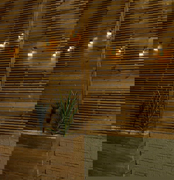 Samuel Alexander Set of 20 Indoor Outdoor Connectable Party Festoon Lights with Warm White LEDs