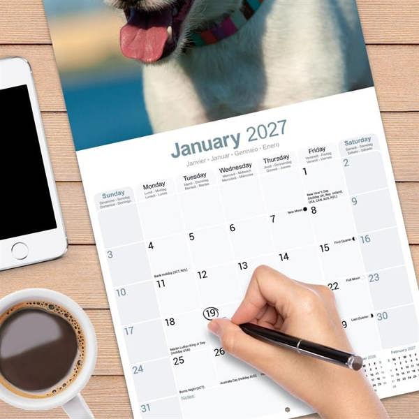 Jack Russell Calendar 2027, Wall Calendars, Month To View, Dogs, Gift