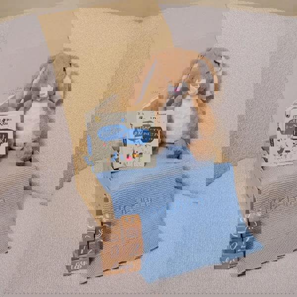 The Baby Gifting Company HOP & LEARN GIFT SET