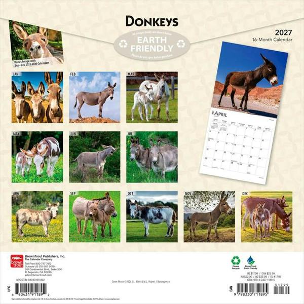 Donkeys Calendar 2027, Wall Calendars, Month To View, Animals, Gift