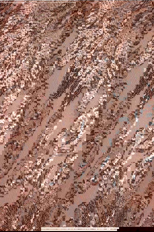 Floral Sequin Mesh Maxi - Champagne DR4041