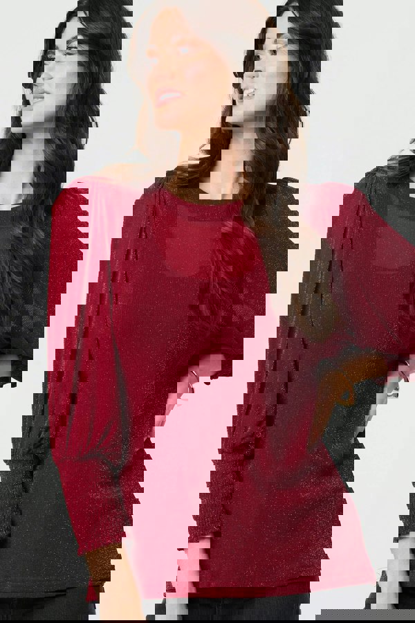 Burgundy | Sparkly 3/4 Puff Sleeve Mesh Top
