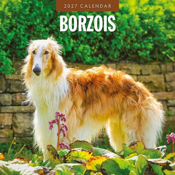 Borzois Calendar 2027, Wall Calendars, Month To View, Dogs, Gift
