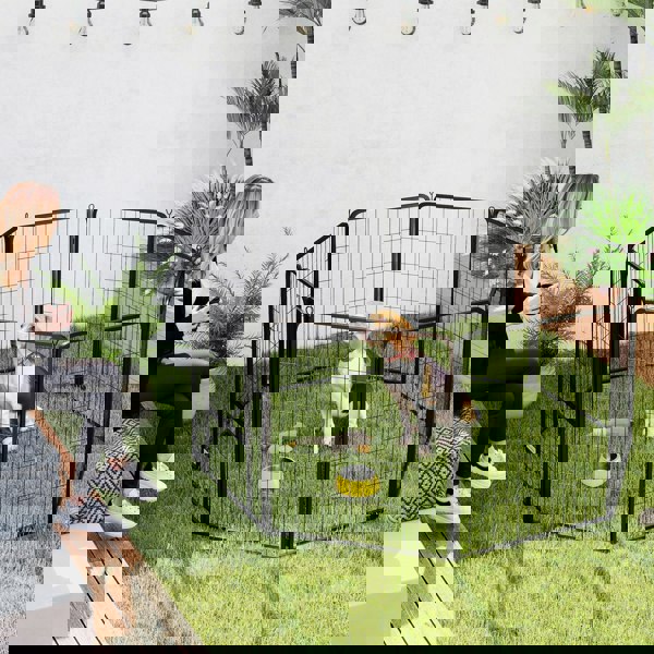 D06-251V01BK