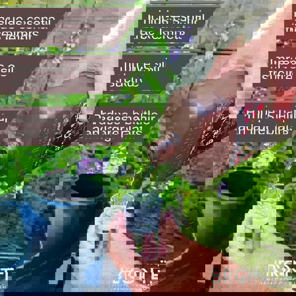 Bronte Heritage Organic Seaweed Plant Food 1L – Concentrated, pet-friendly fertiliser for all plants. Boosts growth, blooms & resistance. Makes 300L