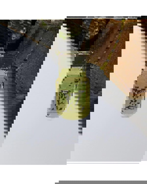 186342283.jpg