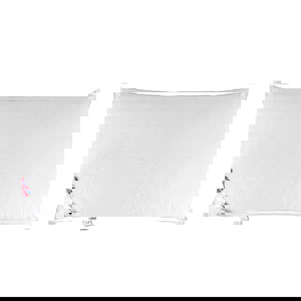 HOMESCAPES Goose Feather and Down King Size Pillow Pair