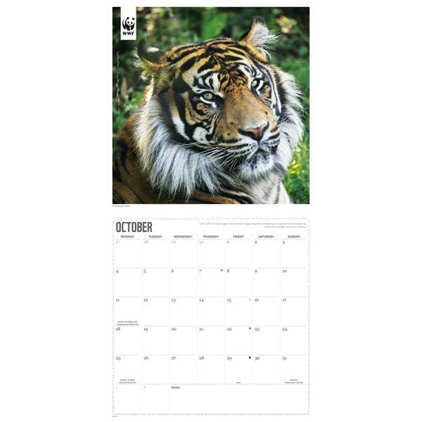 WWF, Tigers Calendar 2027, Wall Calendars, Month To View, Animals, Gift