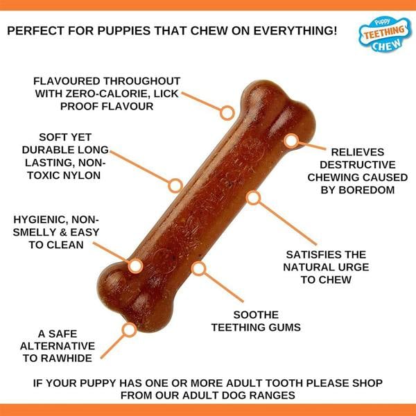 Nylabone Gentle Puppy Teething Chew Toy Bone, Chicken Flavour, Medium