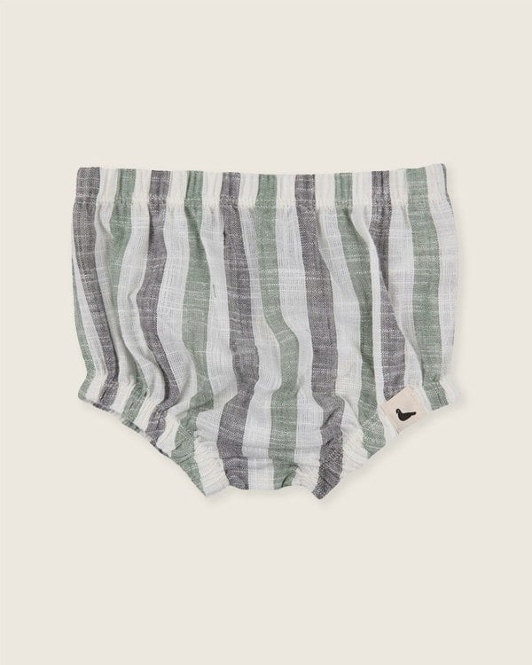 Multicolour Stripe Print Bloomers - image 4