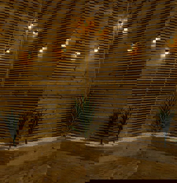 Samuel Alexander Set of 20 Indoor Outdoor Connectable Party Festoon Lights with Warm White LEDs