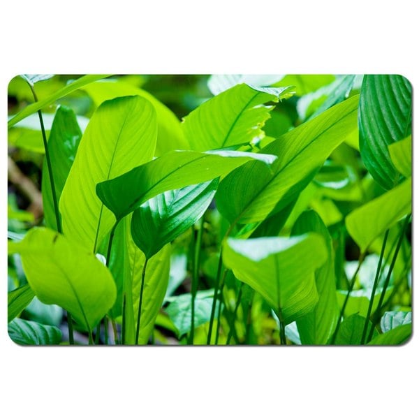 Benjamin Tate Design Green leaf background abstract of nature (Placemat)