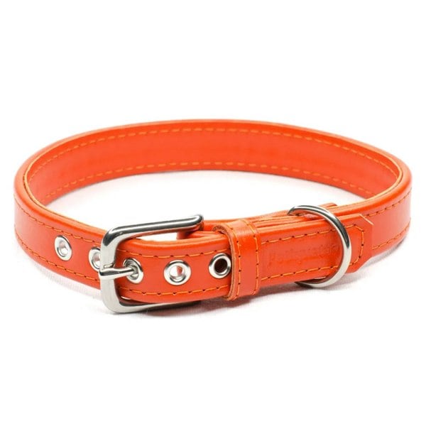 orange leather dog collar - Petiquette Collars