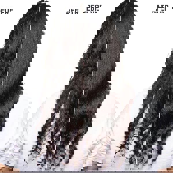 Goldwell Dualsenses Bond Pro Shampoo Conditioner Duo