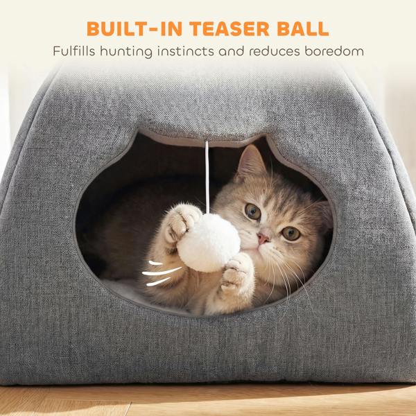 Cat House