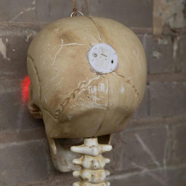 Samuel Alexander 5ft (1.5m) Battery Powered Light up Halloween Skeleton with Poseable Joints & Red LEDs