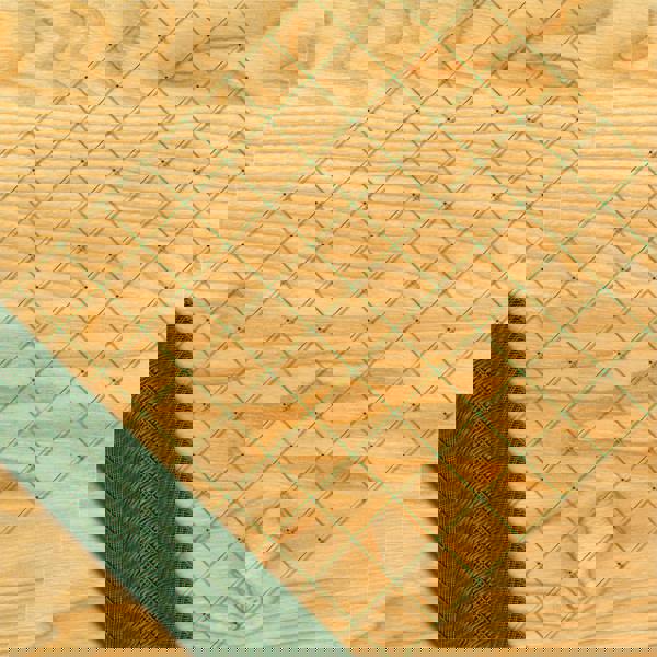 St Helens Garden Netting, coverage 20sqm (10x10mm Hole)