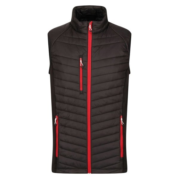 Regatta Mens Navigate Quilted Hybrid Gilet - Black/Classic Red