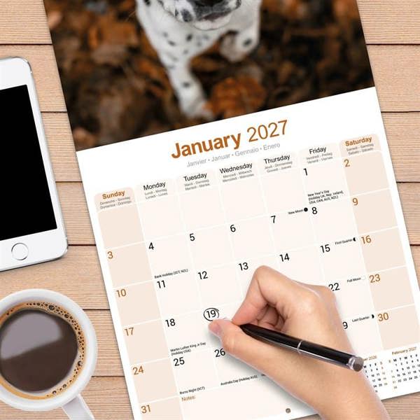 Dalmatian Calendar 2027, Wall Calendars, Month To View, Dogs, Gift