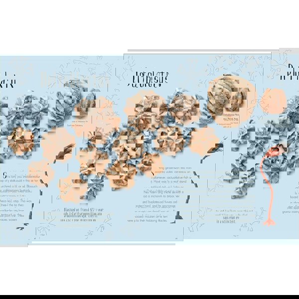 Dinosaurs and Other Prehistoric Life (DK Children's Anthologies)