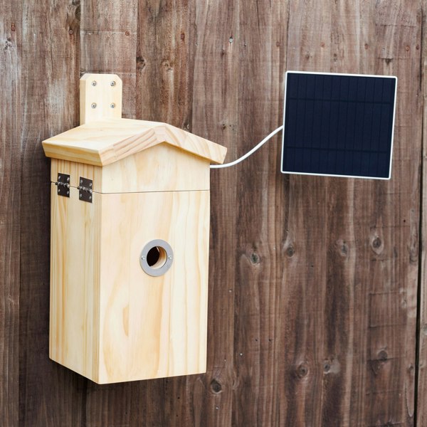 Callow Retail Pine smart bird house and Camera with Solar Panel