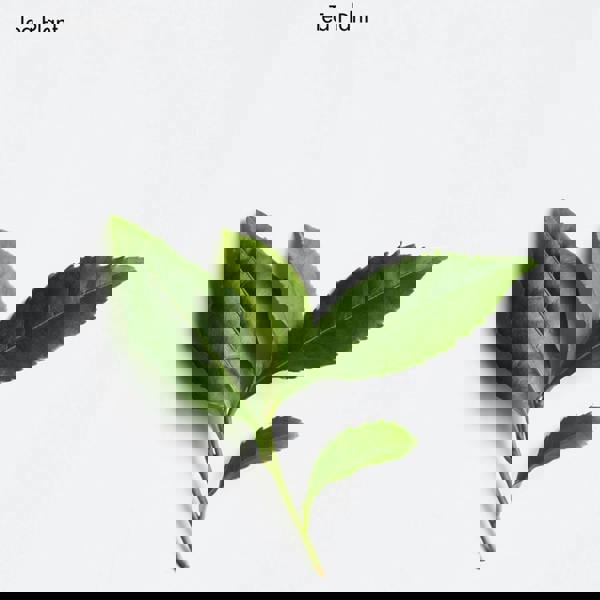 La Biosthetique Hairloss Control Concentrate