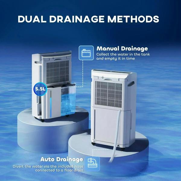 White portable dehumidifier showing rear drain outlet and connected hose port