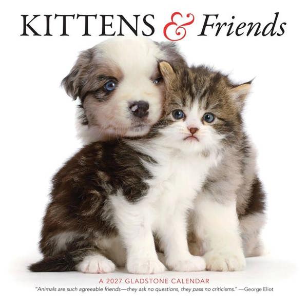 Unbranded Kittens & Friends Calendar 2027, Wall Calendars, Month To View, Cats, Gift