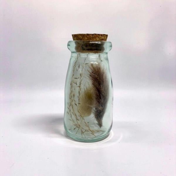 Small glass jar with cork lid containing dried plants and a feather on a white background
