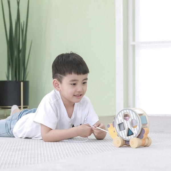 Polar B Hedgehog Sorting Wheel