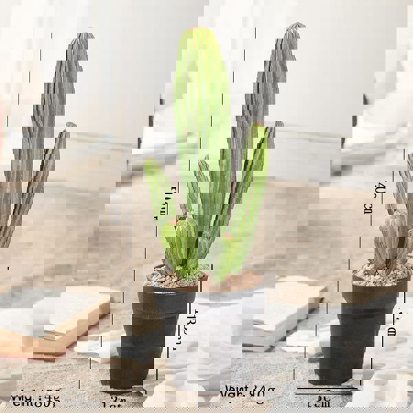 TU18 Artificial Plant-Weilai Concept-16-Weilai Concept