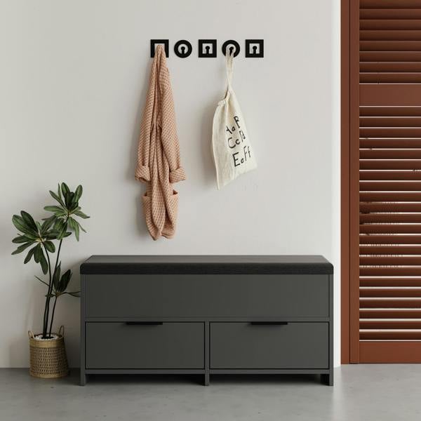 Decortie Modern Cove Shoe Storage with Fabric Bench 2-Tier Cabinet Hallway Entryway Storage 106x34x50cm