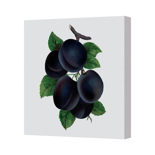 Benjamin Tate Design Canvas Art Print Dark Purple Plums Cluster With Green Leaves