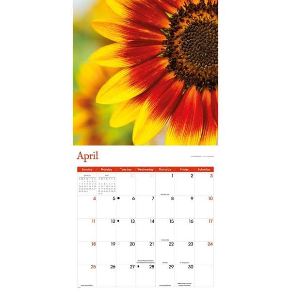 Sunflowers Calendar 2027, Wall Calendars, Month To View, Lifestyle, Gift
