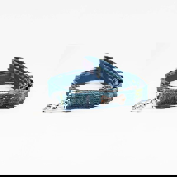 Heritage Traditions Heritage Hounds Tartan Dog Lead and Collar Set