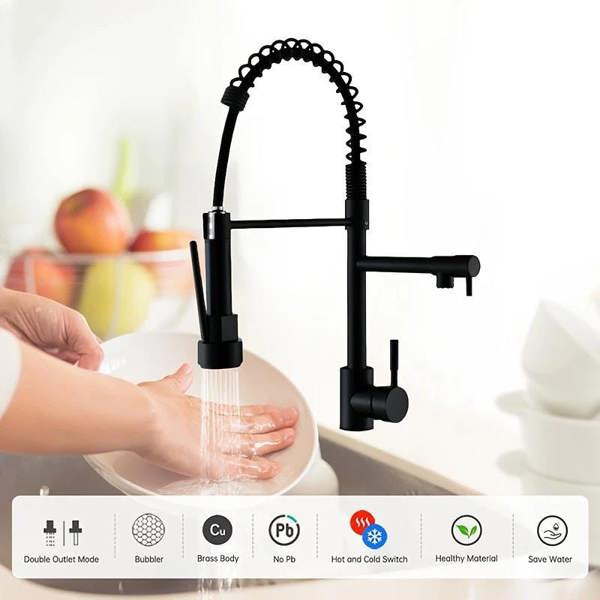 Dyzi Black Dual-Function Kitchen Mixer Tap Pull Down Spray Head