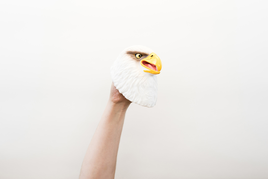 Wildthings Wild Thingz White Eagle Hand Puppet