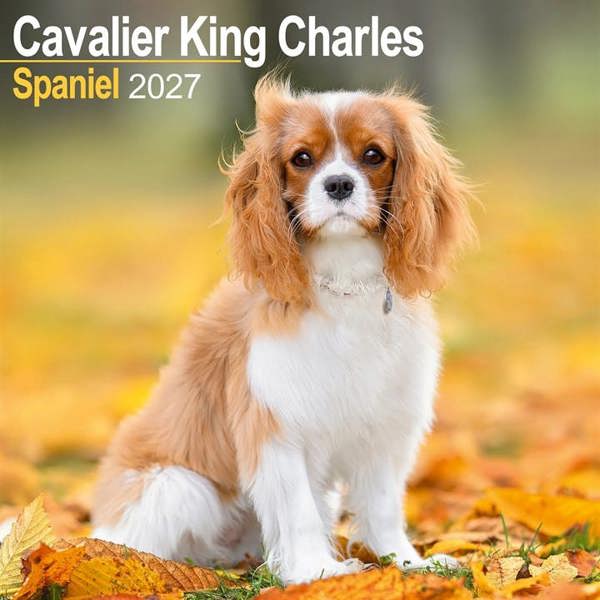 Cavalier King Charles Spaniel Calendar 2027, Wall Calendars, Month To View, Dogs, Gift