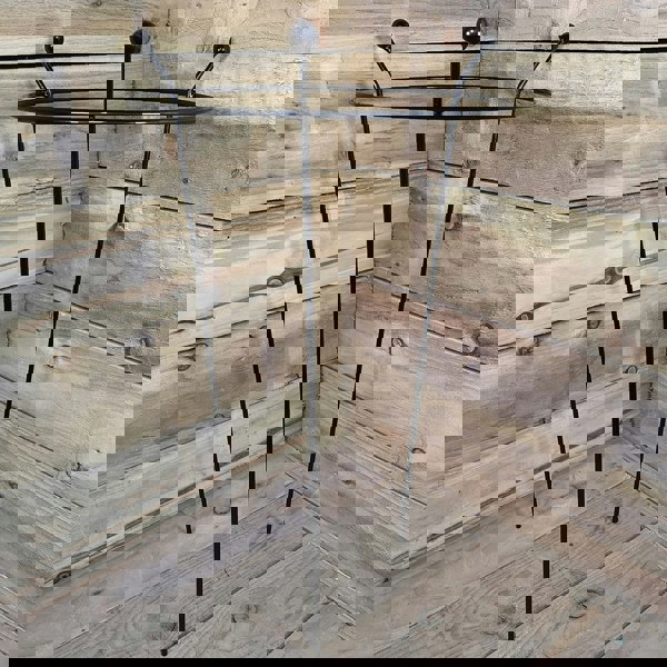 Samuel Alexander 6 Pack of Small 60cm x 35cm Heavy Duty Black Steel Herbaceous Garden Plant Support Ring