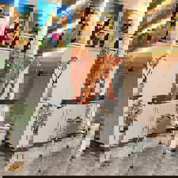 D01-027BK