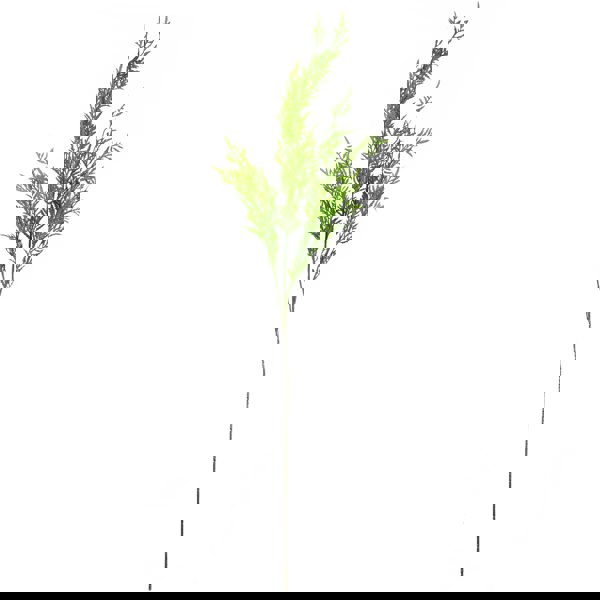 Leaf 80cm Bubble Vase Artificial Peony Flowers