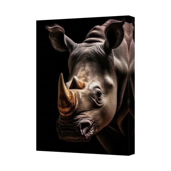 Benjamin Tate Design Rhino Canvas Wall Art Print Striking Portrait on Black Background