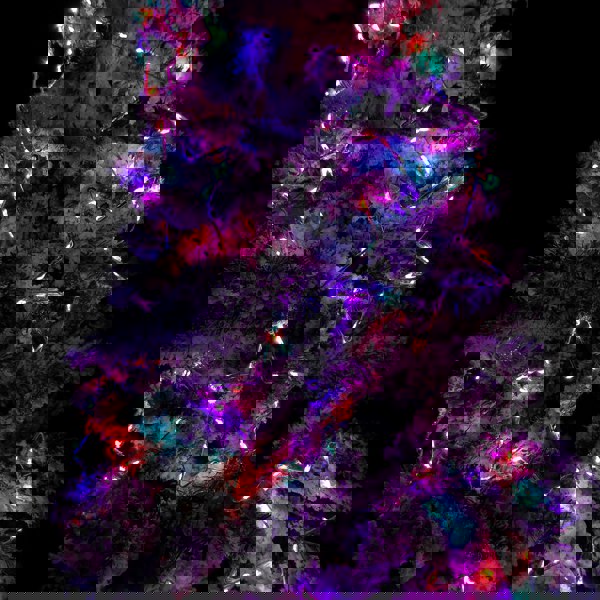 Samuel Alexander 2.6m Set of 10 Star Curtain Lights 227 Rainbow LEDs Microbrights String Lights