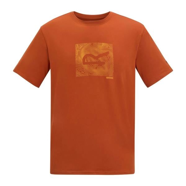 Regatta Mens Fingal Abstract Stretch Logo T-Shirt - Rooibos Tea - 