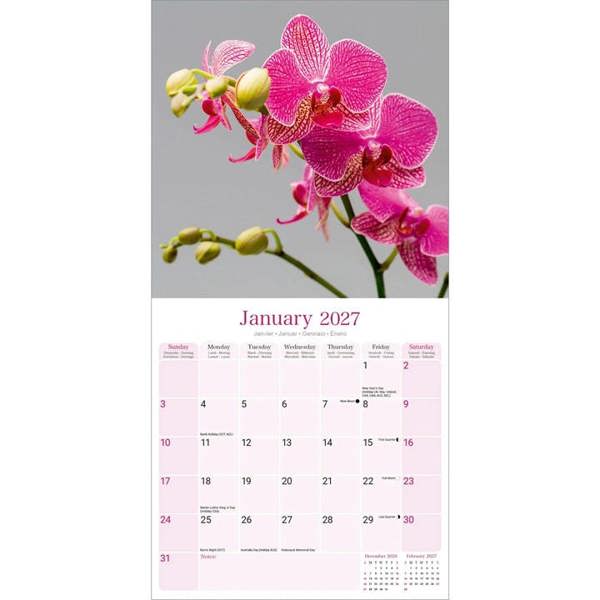 Orchids Calendar 2027, Wall Calendars, Month To View, Lifestyle, Gift