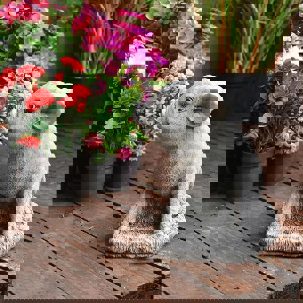 Adorable Stone Cast Babe Pig Garden Ornament